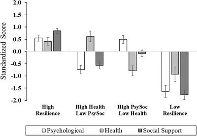 Multisystem Resiliency as a Predictor of Physical and Psychological Functioning in Older Adults With Chronic Low Back Pain